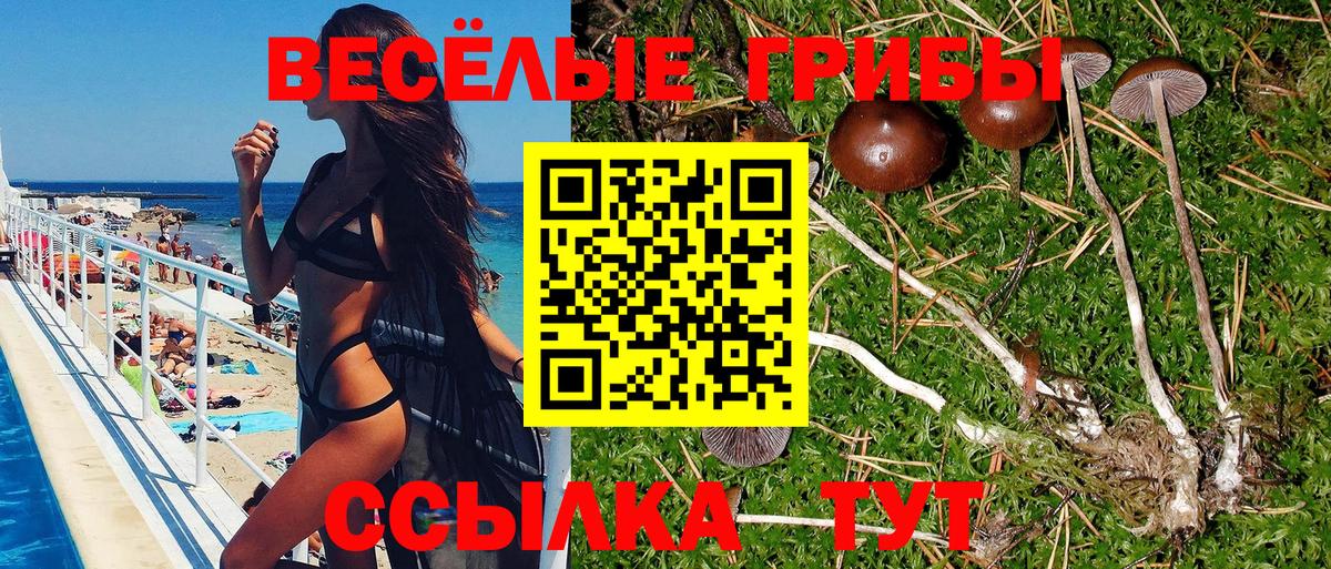 Галлюциногенные грибы MAGIC MUSHROOMS Тавда