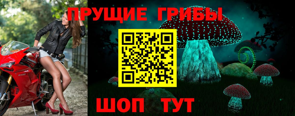 Тавда  Псилоцибиновые грибы MAGIC MUSHROOMS  Вход с VPN  Галлюциногенные грибы Cubensis 